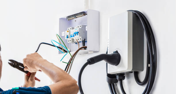 Best Affordable Electrician  in Ricardo, TX
